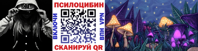 Псилоцибиновые грибы Psilocybe  Красный Холм 